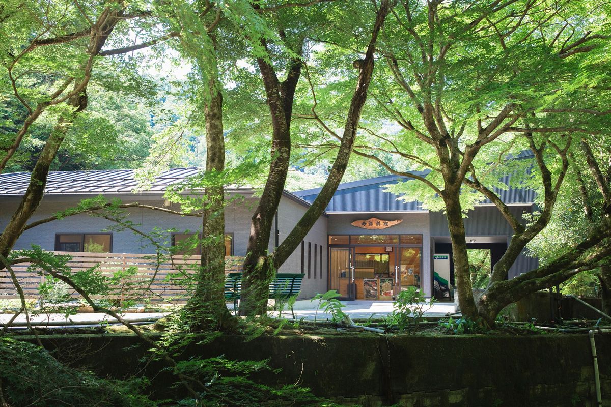 木立に包まれた店舗外観